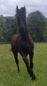 <img alt='Zoom image' src='images/b_search.png'><b>&nbsp;Cliquez pour zoomer</b>