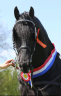 <img alt='Zoom image' src='images/b_search.png'><b>&nbsp;Cliquez pour zoomer</b>