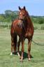 <img alt='Zoom image' src='images/b_search.png'><b>&nbsp;Cliquez pour zoomer</b>