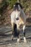 <img alt='Zoom image' src='images/b_search.png'><b>&nbsp;Cliquez pour zoomer</b>