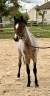 <img alt='Zoom image' src='images/b_search.png'><b>&nbsp;Cliquez pour zoomer</b>