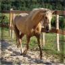 <img alt='Zoom image' src='images/b_search.png'><b>&nbsp;Cliquez pour zoomer</b>