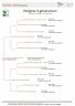 <img alt='Zoom image' src='images/b_search.png'><b>&nbsp;Cliquez pour zoomer</b>