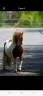 <img alt='Zoom image' src='images/b_search.png'><b>&nbsp;Cliquez pour zoomer</b>