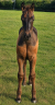 <img alt='Zoom image' src='images/b_search.png'><b>&nbsp;Cliquez pour zoomer</b>