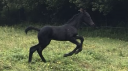 <img alt='Zoom image' src='images/b_search.png'><b>&nbsp;Cliquez pour zoomer</b>