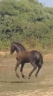 <img alt='Zoom image' src='images/b_search.png'><b>&nbsp;Cliquez pour zoomer</b>