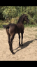 <img alt='Zoom image' src='images/b_search.png'><b>&nbsp;Cliquez pour zoomer</b>