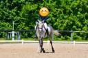 <img alt='Zoom image' src='images/b_search.png'><b>&nbsp;Cliquez pour zoomer</b>