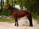 <img alt='Zoom image' src='images/b_search.png'><b>&nbsp;Cliquez pour zoomer</b>