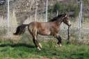 <img alt='Zoom image' src='images/b_search.png'><b> Cliquez pour zoomer</b>