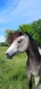 <img alt='Zoom image' src='images/b_search.png'><b>&nbsp;Cliquez pour zoomer</b>