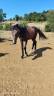 <img alt='Zoom image' src='images/b_search.png'><b>&nbsp;Cliquez pour zoomer</b>