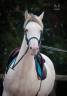 <img alt='Zoom image' src='images/b_search.png'><b>&nbsp;Cliquez pour zoomer</b>