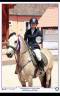 <img alt='Zoom image' src='images/b_search.png'><b> Cliquez pour zoomer</b>