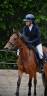 <img alt='Zoom image' src='images/b_search.png'><b> Cliquez pour zoomer</b>
