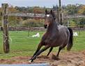 <img alt='Zoom image' src='images/b_search.png'><b>&nbsp;Cliquez pour zoomer</b>
