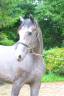 <img alt='Zoom image' src='images/b_search.png'><b>&nbsp;Cliquez pour zoomer</b>