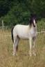 <img alt='Zoom image' src='images/b_search.png'><b>&nbsp;Cliquez pour zoomer</b>