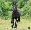 <img alt='Zoom image' src='images/b_search.png'><b>&nbsp;Cliquez pour zoomer</b>