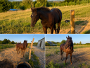 <img alt='Zoom image' src='images/b_search.png'><b>&nbsp;Cliquez pour zoomer</b>