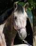 <img alt='Zoom image' src='images/b_search.png'><b>&nbsp;Cliquez pour zoomer</b>