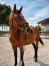 <img alt='Zoom image' src='images/b_search.png'><b> Cliquez pour zoomer</b>