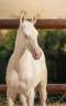 <img alt='Zoom image' src='images/b_search.png'><b> Cliquez pour zoomer</b>