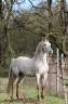 <img alt='Zoom image' src='images/b_search.png'><b>&nbsp;Cliquez pour zoomer</b>