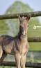 <img alt='Zoom image' src='images/b_search.png'><b>&nbsp;Cliquez pour zoomer</b>
