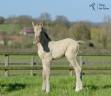 <img alt='Zoom image' src='images/b_search.png'><b> Cliquez pour zoomer</b>
