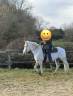 <img alt='Zoom image' src='images/b_search.png'><b>&nbsp;Cliquez pour zoomer</b>