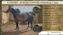 <img alt='Zoom image' src='images/b_search.png'><b>&nbsp;Cliquez pour zoomer</b>