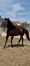 <img alt='Zoom image' src='images/b_search.png'><b>&nbsp;Cliquez pour zoomer</b>