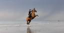<img alt='Zoom image' src='images/b_search.png'><b>&nbsp;Cliquez pour zoomer</b>