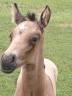<img alt='Zoom image' src='images/b_search.png'><b>&nbsp;Cliquez pour zoomer</b>