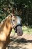 <img alt='Zoom image' src='images/b_search.png'><b>&nbsp;Cliquez pour zoomer</b>