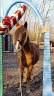 <img alt='Zoom image' src='images/b_search.png'><b>&nbsp;Cliquez pour zoomer</b>