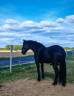 <img alt='Zoom image' src='images/b_search.png'><b>&nbsp;Cliquez pour zoomer</b>