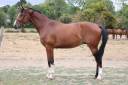 <img alt='Zoom image' src='images/b_search.png'><b>&nbsp;Cliquez pour zoomer</b>