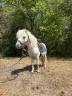 <img alt='Zoom image' src='images/b_search.png'><b>&nbsp;Cliquez pour zoomer</b>