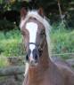 <img alt='Zoom image' src='images/b_search.png'><b>&nbsp;Cliquez pour zoomer</b>