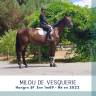 <img alt='Zoom image' src='images/b_search.png'><b>&nbsp;Cliquez pour zoomer</b>