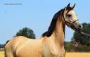 <img alt='Zoom image' src='images/b_search.png'><b>&nbsp;Cliquez pour zoomer</b>
