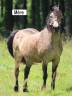 <img alt='Zoom image' src='images/b_search.png'><b>&nbsp;Cliquez pour zoomer</b>