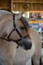 <img alt='Zoom image' src='images/b_search.png'><b>&nbsp;Cliquez pour zoomer</b>