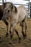 <img alt='Zoom image' src='images/b_search.png'><b>&nbsp;Cliquez pour zoomer</b>