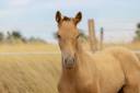 <img alt='Zoom image' src='images/b_search.png'><b>&nbsp;Cliquez pour zoomer</b>