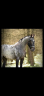 <img alt='Zoom image' src='images/b_search.png'><b>&nbsp;Cliquez pour zoomer</b>