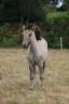 <img alt='Zoom image' src='images/b_search.png'><b>&nbsp;Cliquez pour zoomer</b>